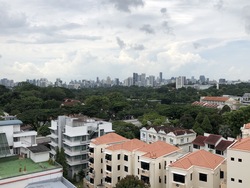 10 Shelford (D11), Apartment #253382011